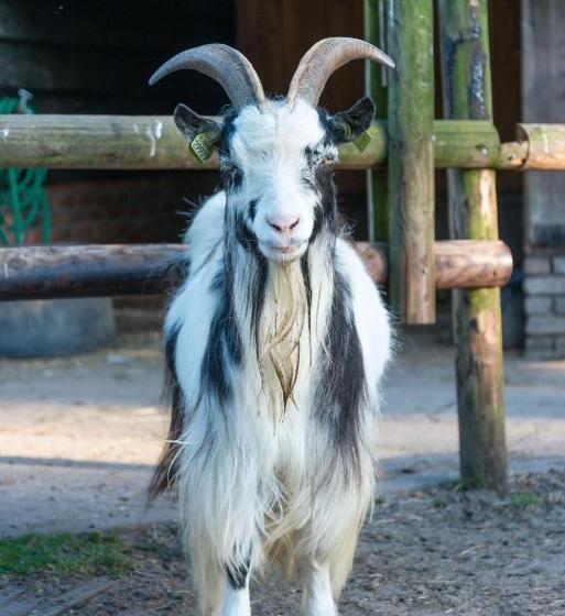 צימר Bed En Breakfast Puur8a