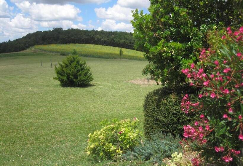 Bed and Breakfast Bellegarde