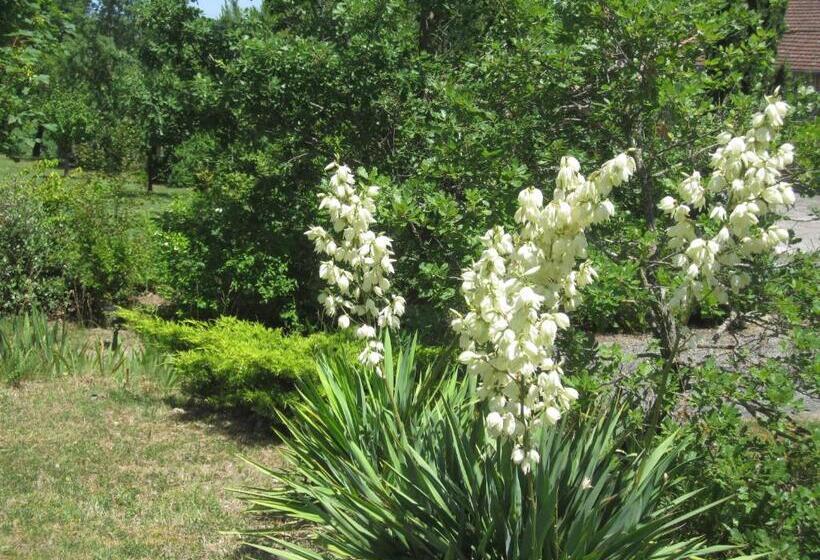 Bed and Breakfast Bellegarde