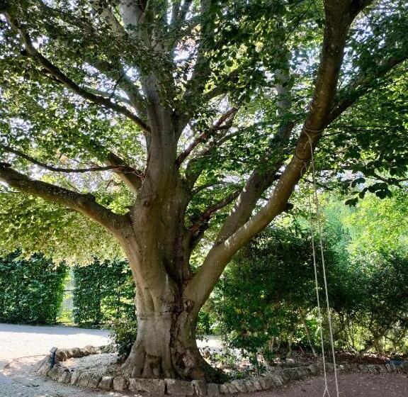 مبيت وإفطار Chambres D Hôtes La Tuilerie