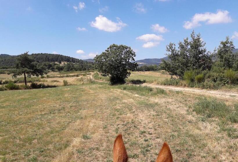 민박 Ferme De La Combe