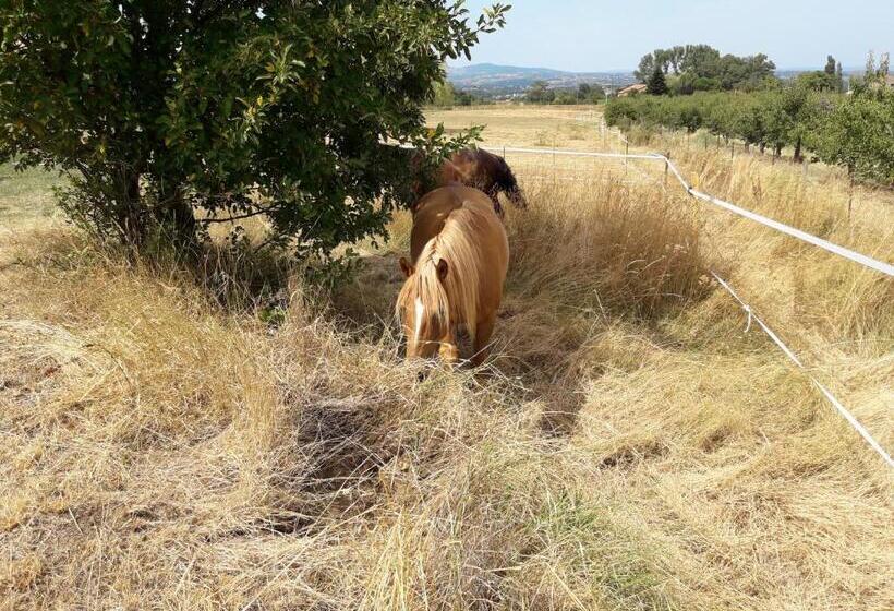 민박 Ferme De La Combe