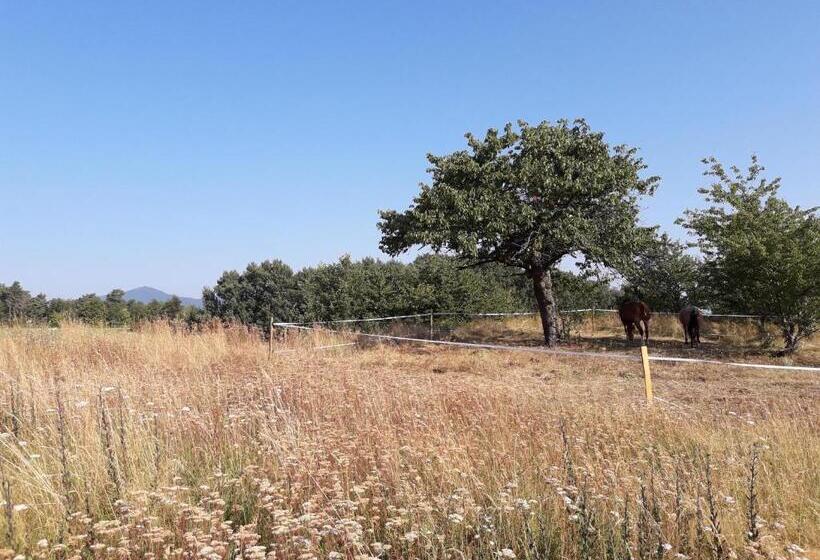 민박 Ferme De La Combe