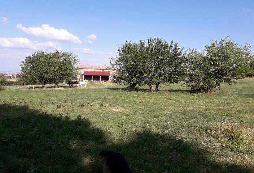 민박 Ferme De La Combe