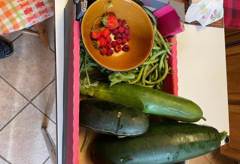 민박 Ferme De La Combe