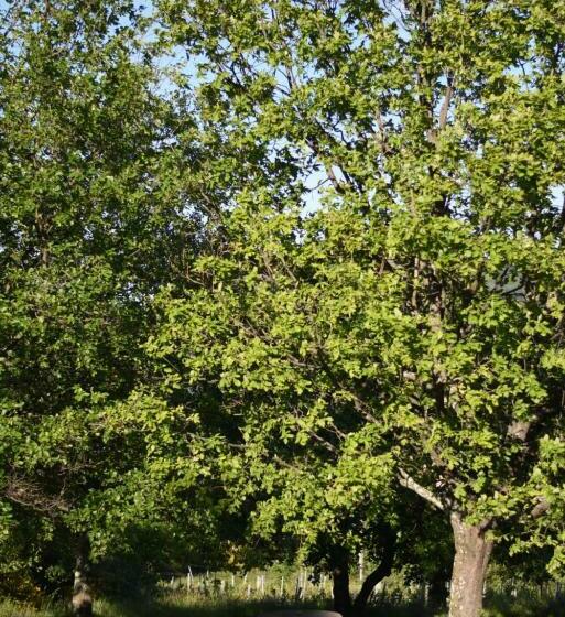 민박 La Haute Maurelle