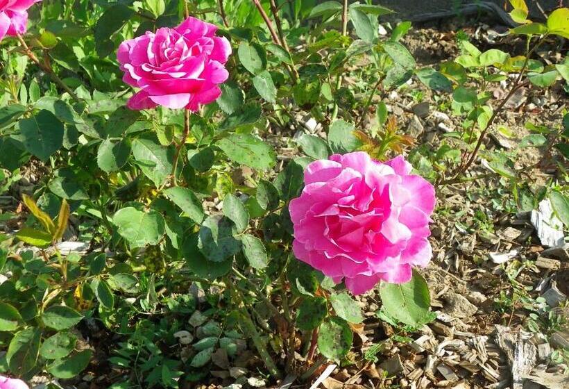 צימר Le Donjon De La Reine Margot