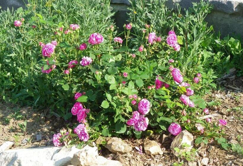 ベッドアンドブレックファースト Le Donjon De La Reine Margot