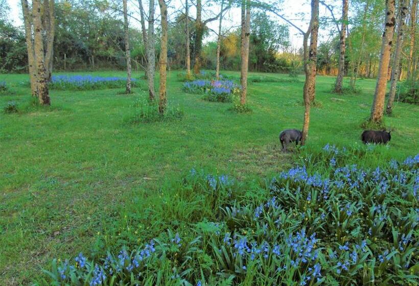 住宿加早餐  Le Petit Moulin Tournesol Bnb