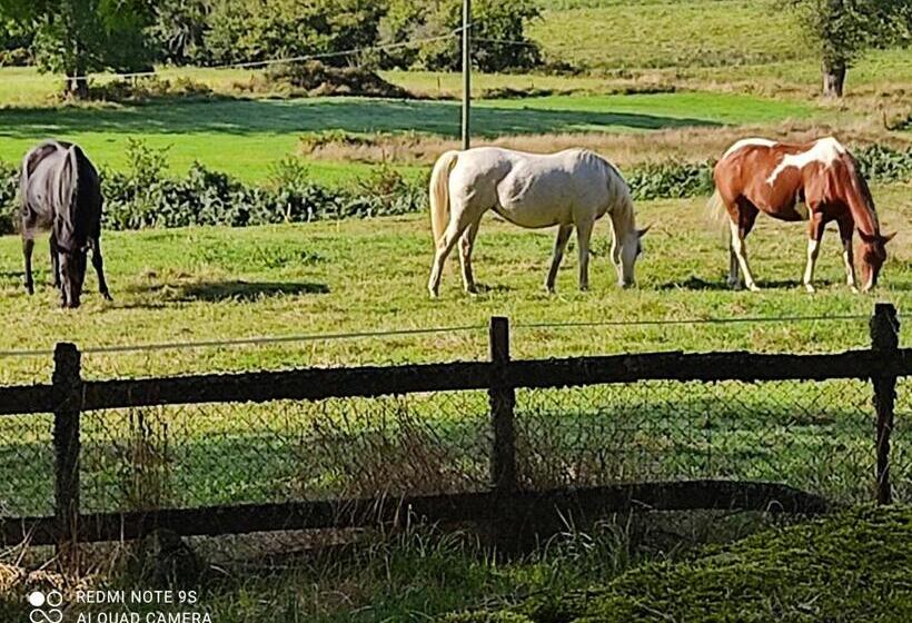 مبيت وإفطار Les Quatre Vents