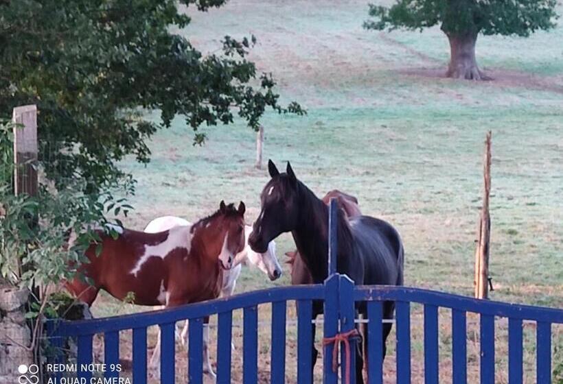 مبيت وإفطار Les Quatre Vents