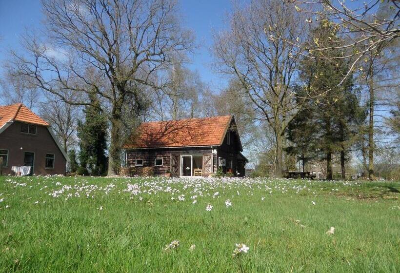 Bed and Breakfast Mekelermeer