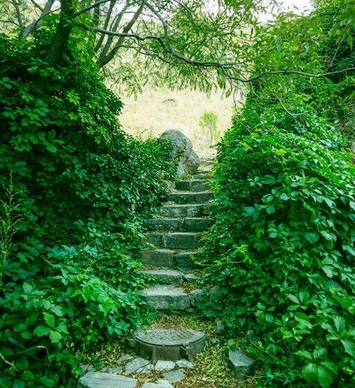 Chatcal Mountains Resort