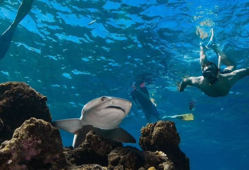 هتل Barefoot Kuata Island Resort