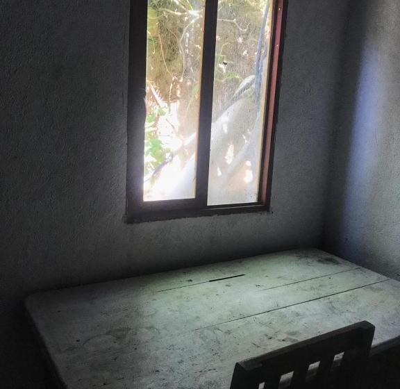 فندق Hostal Mandala Evelyn