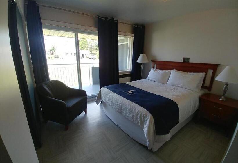 酒店 La Baleine Endiablée Microbrasserie