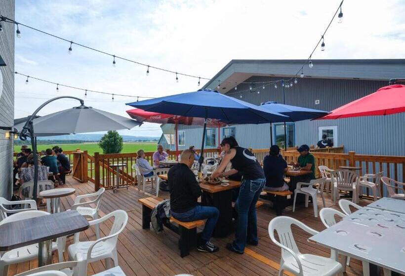 酒店 La Baleine Endiablée Microbrasserie