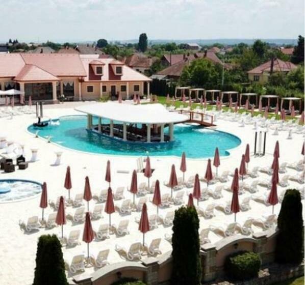 Отель Pensiunea Trei Pini