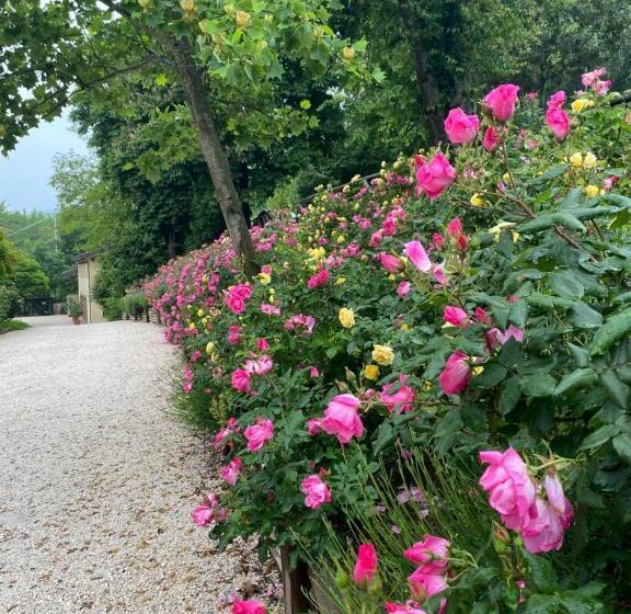 ホテル Torre Del Barbagianni   Castello Di Gropparello