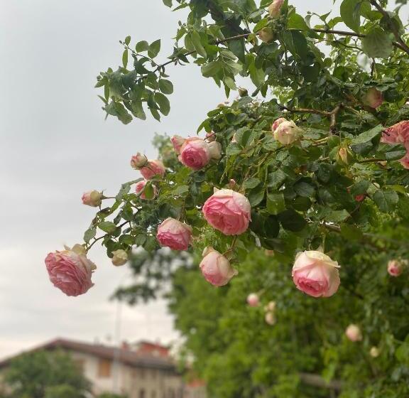 ホテル Torre Del Barbagianni   Castello Di Gropparello