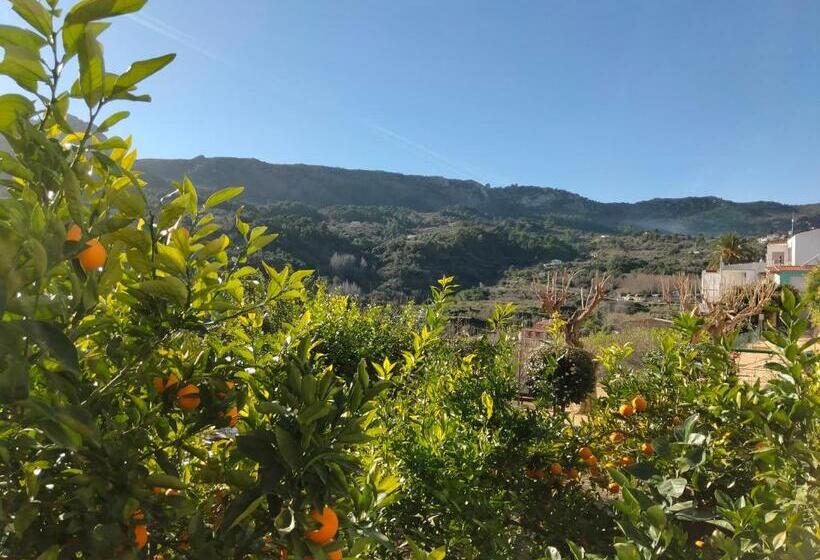 Les Penyetes Boutique Bed And Breakfast