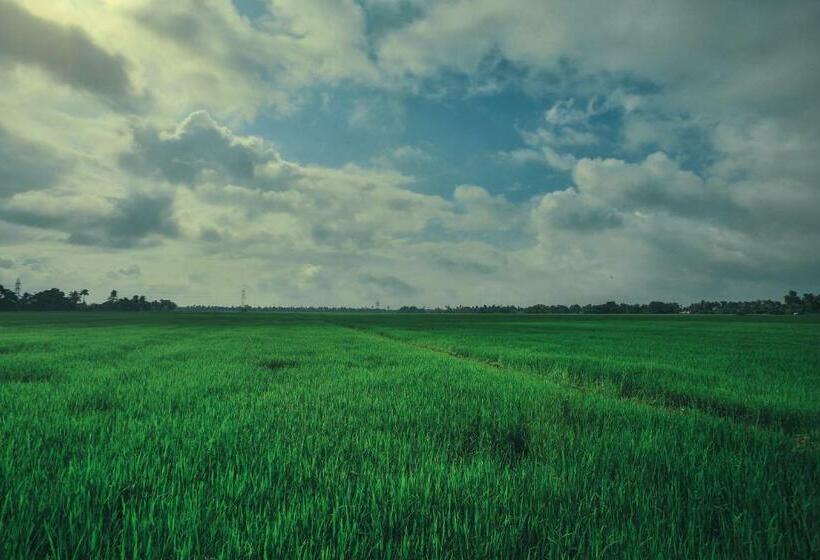 Palmgrove Lake Resort