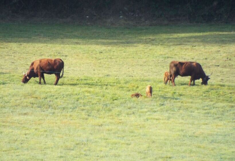 ペンション Au Coeur Du Volcantal