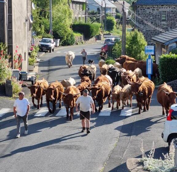 ペンション Au Coeur Du Volcantal