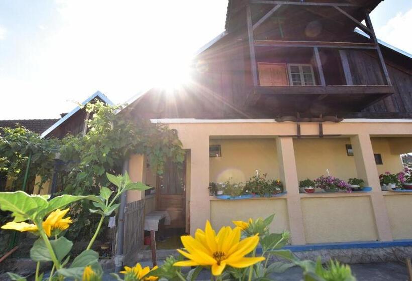 Пансион Casa Traditionala Ardeleana