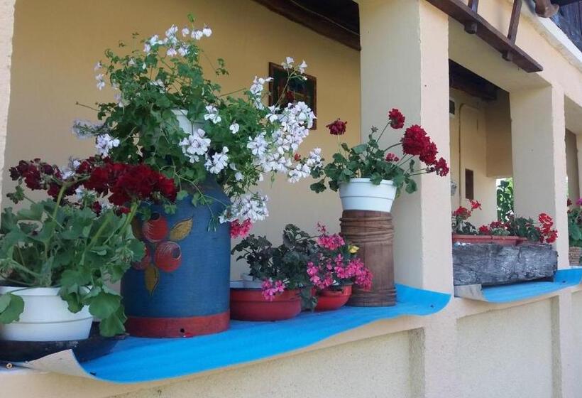 پانسیون Casa Traditionala Ardeleana