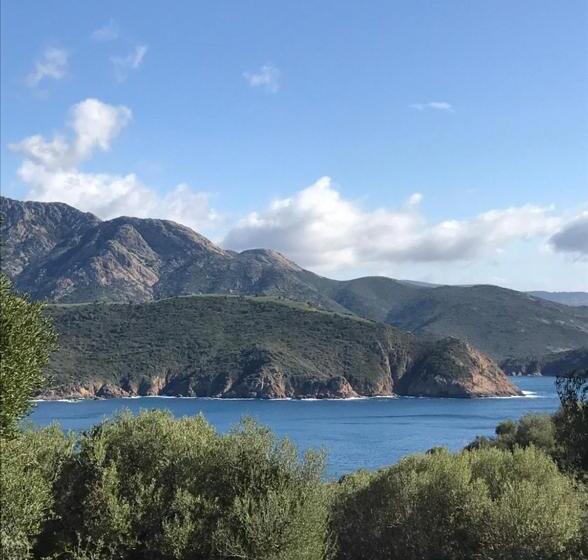 بنسيون L Alivetu, Chambres D Hôtes