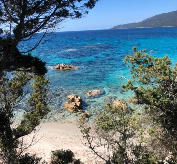 بنسيون L Alivetu, Chambres D Hôtes