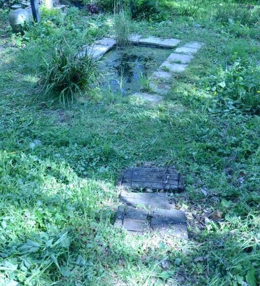 膳宿费 La Cave Au Chat Pitre / L étable