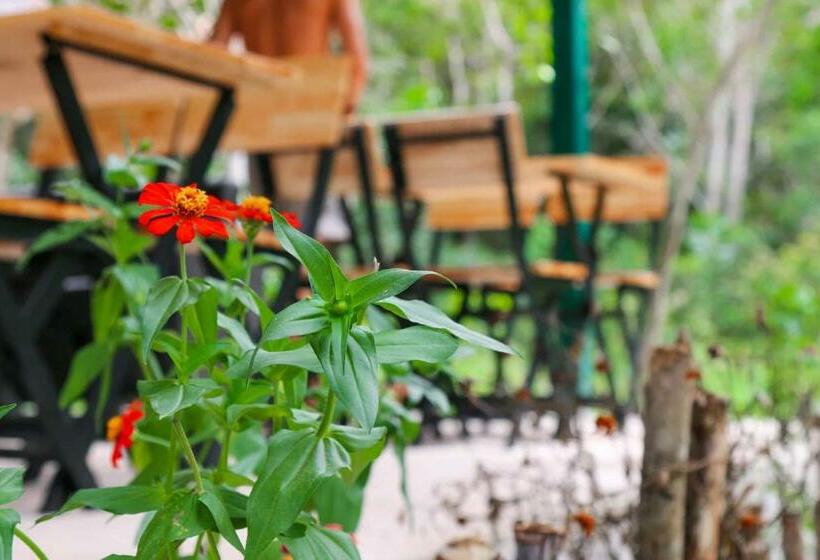 Пансион Mark S Place