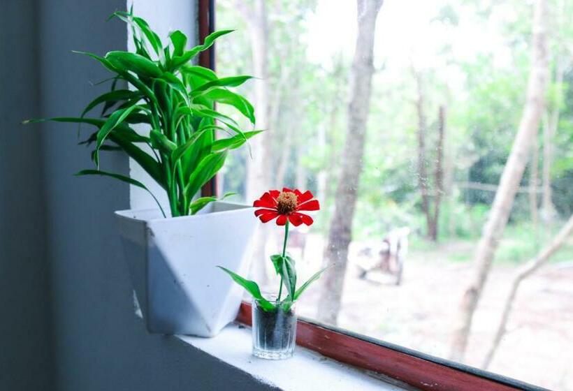 Пансион Mark S Place