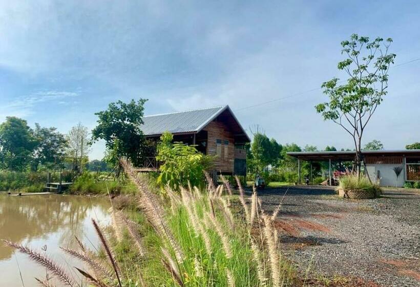 פנסיון Rang Robin Farmstay With Swimming Pool