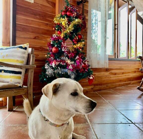 פנסיון Rang Robin Farmstay With Swimming Pool