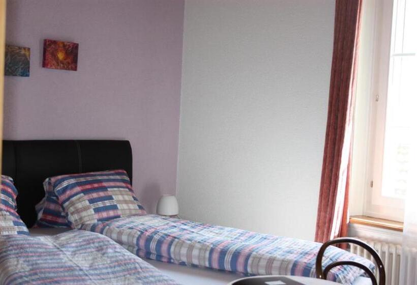 فندق صغير B&b Stirnimann