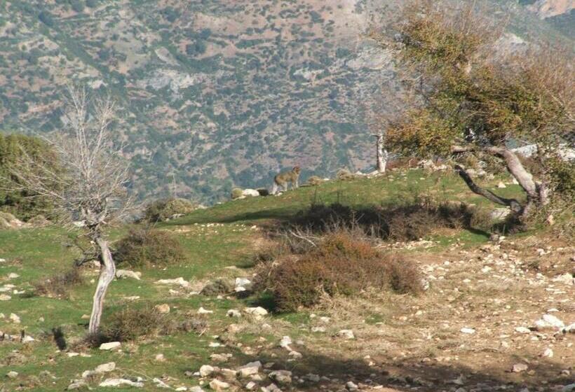 فندق صغير Caiat Lounge Refuge