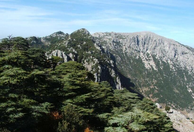 فندق صغير Caiat Lounge Refuge