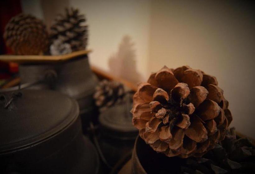 ユースホステル Casa Do Manego