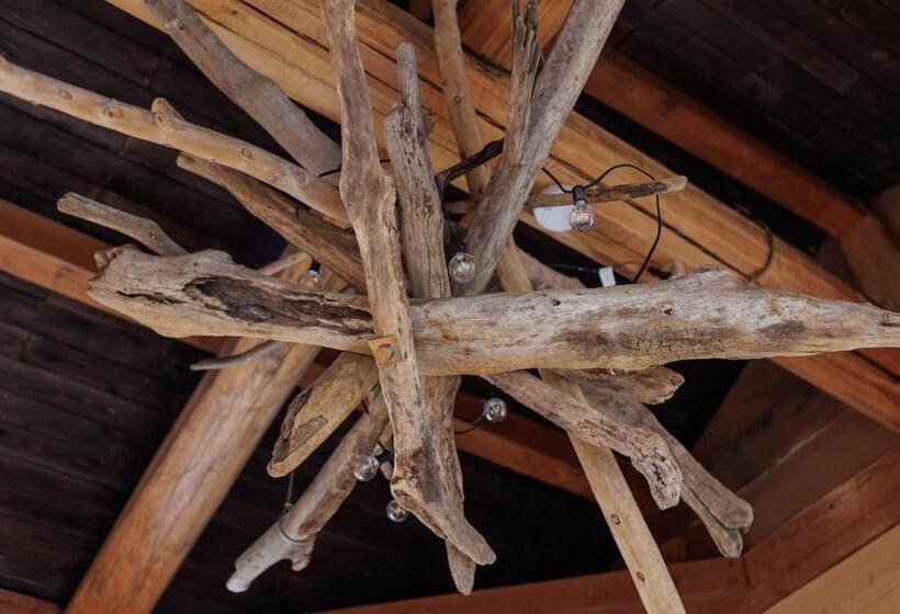 Alberg Gypsy Takashima