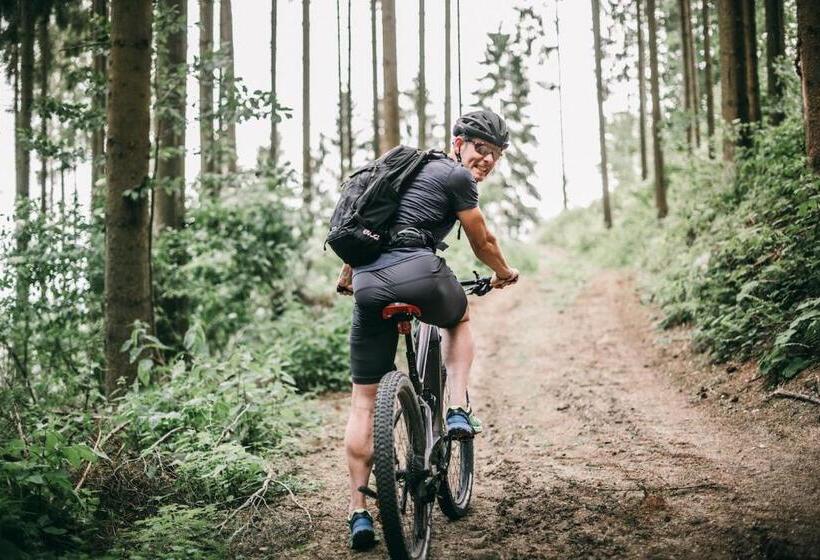 הוסטל Karlingerhaus