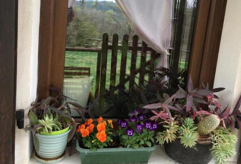 B&b Cascina Dei Levrieri