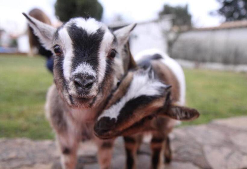 B&b Insolite Entre Lyon Et Aéroport