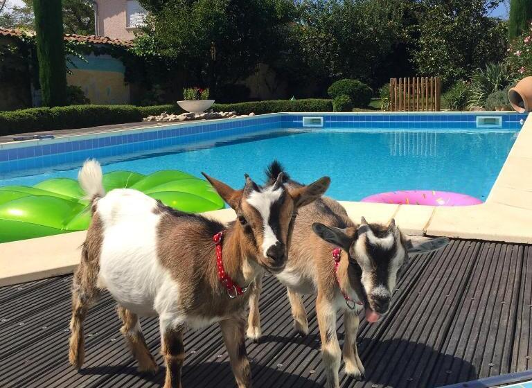 B&b Insolite Entre Lyon Et Aéroport