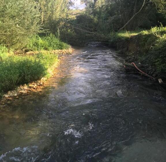 B&b La Libellula