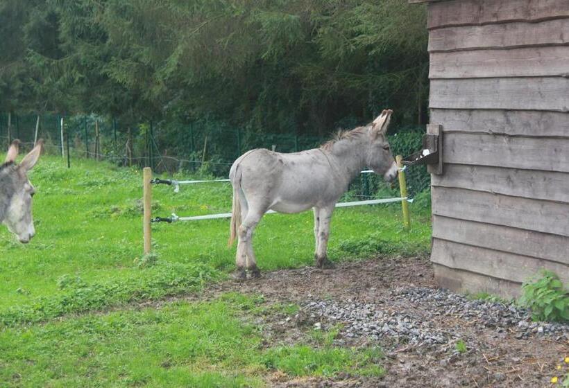 Bed and Breakfast A L Ombre Du Noyer