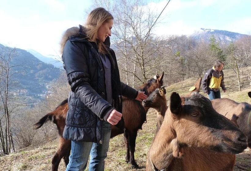 צימר Agriturismo La Meta