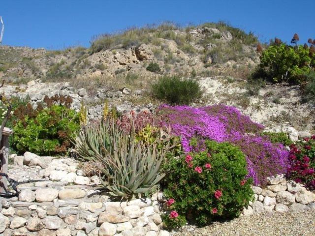 مبيت وإفطار Almond Reef Casa Rural